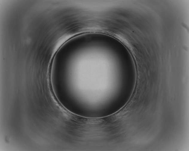 X0000091481440200708231350