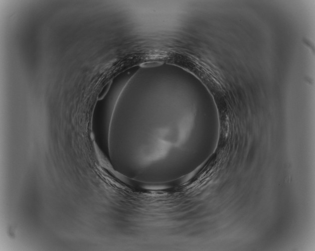 X0000091481441200708231350