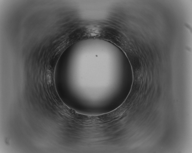 X0000091481442200708231350