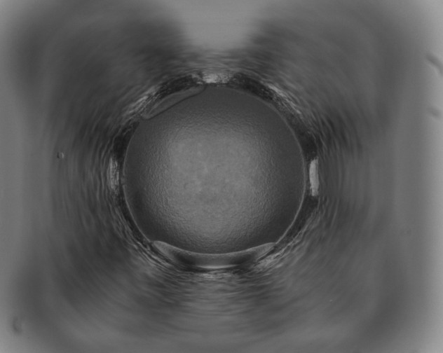 X0000091481443200708231350