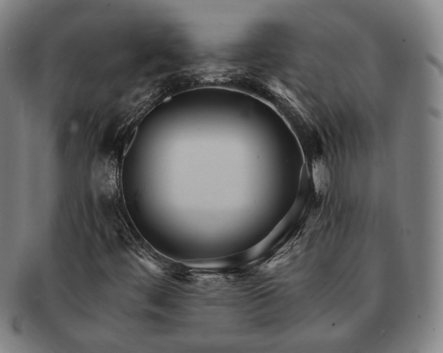 X0000091481444200708231350