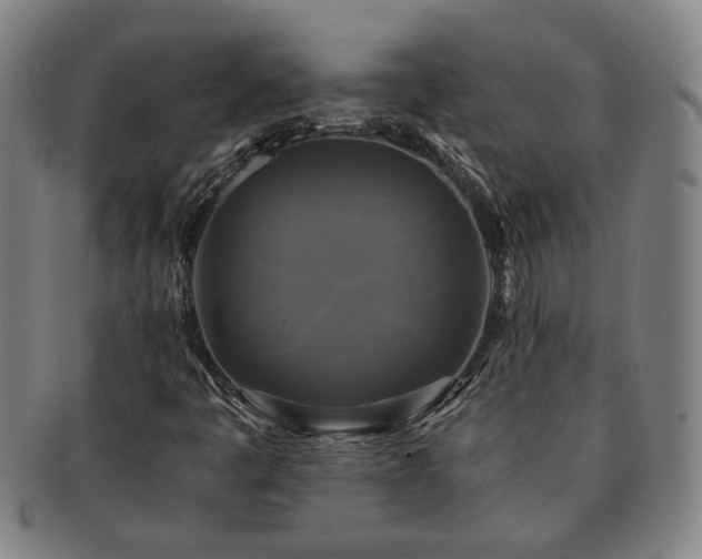 X0000091481445200708231350