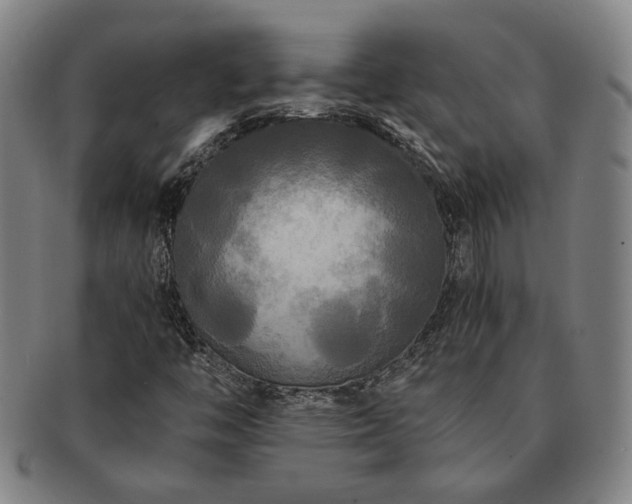 X0000091481446200708231350