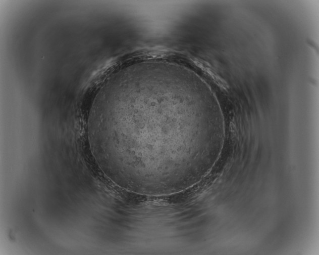 X0000091481447200708231350