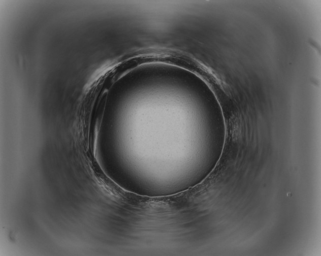 X0000091481448200708231350