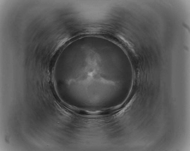 X0000091481449200708231350