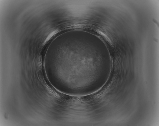 X0000091481450200708231350