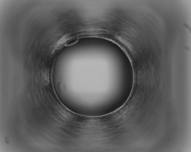 X0000091481451200708231350