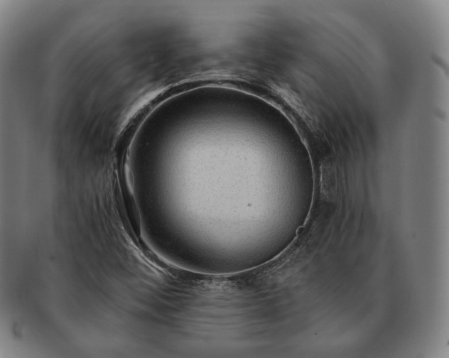 X0000091481452200708231350