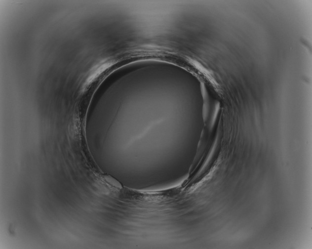 X0000091481453200708231350