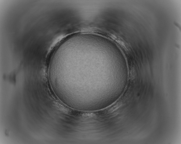 X0000091481454200708231350