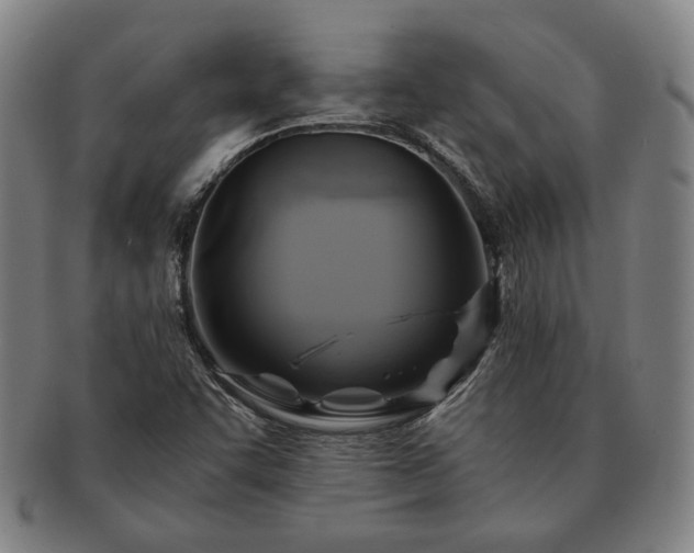 X0000091481455200708231350