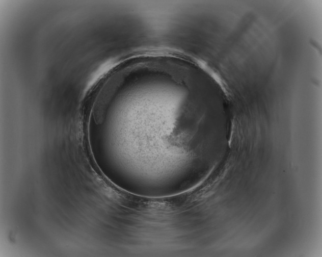 X0000091481456200708231350