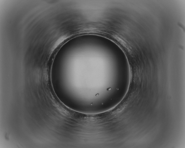 X0000091481458200708231350