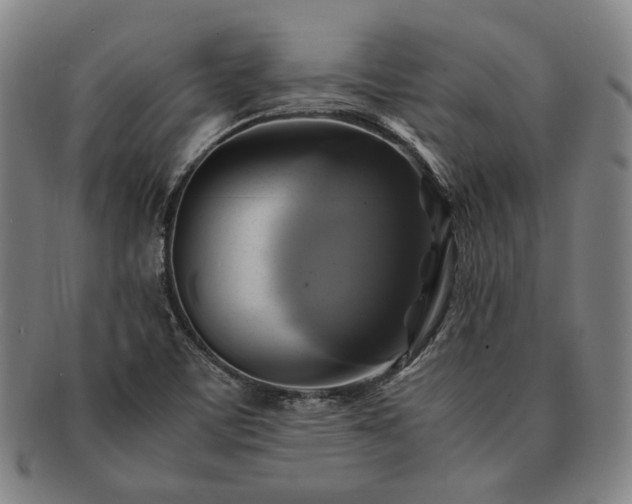 X0000091481459200708231350