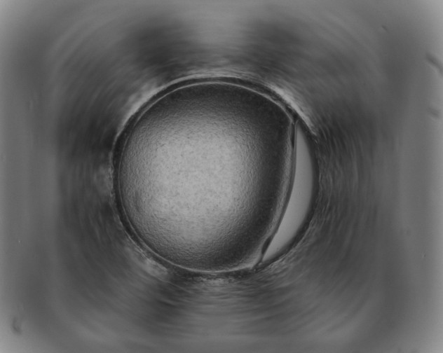 X0000091481460200708231350