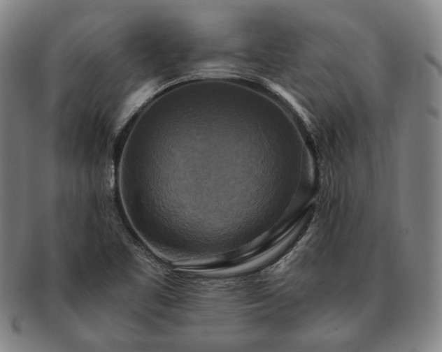 X0000091481461200708231350