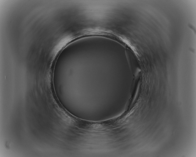 X0000091481463200708231350