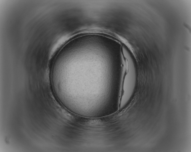 X0000091481464200708231350