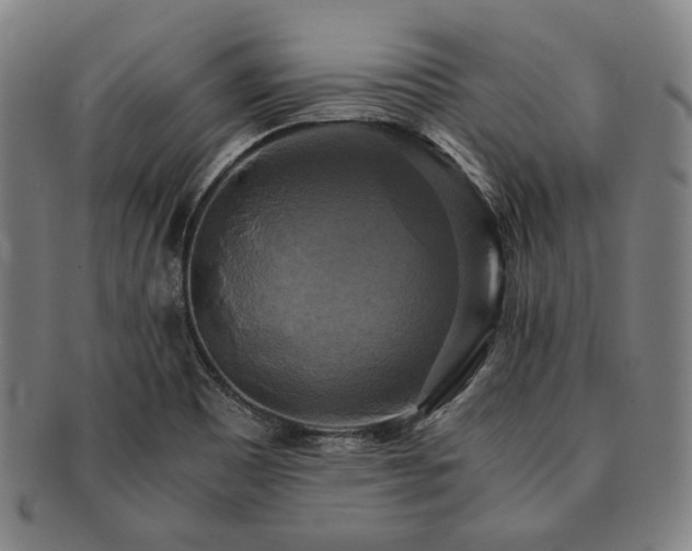 X0000091481465200708231350