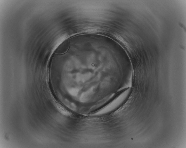 X0000091481467200708231349