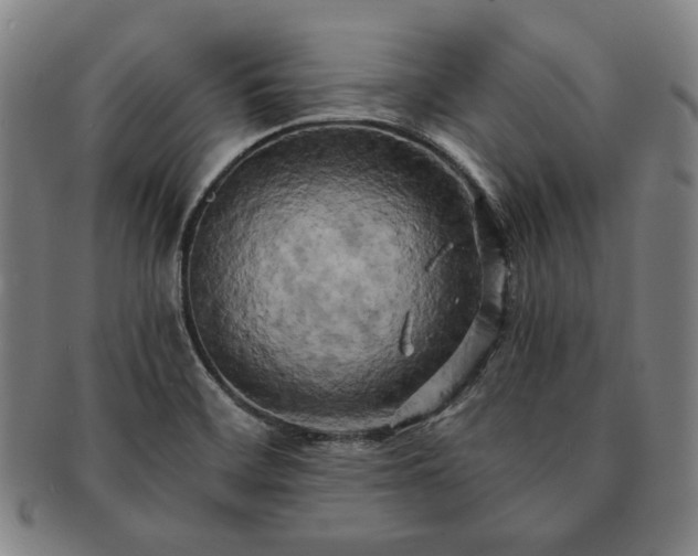 X0000091481468200708231349