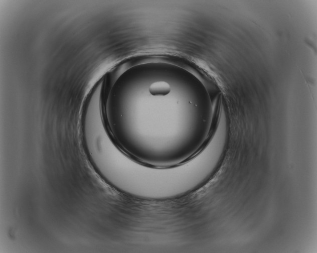 X0000091481469200708231349