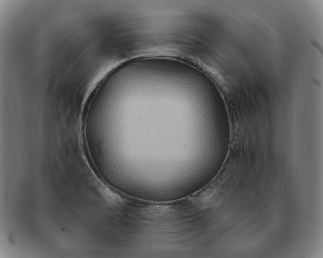 X0000091481470200708231349