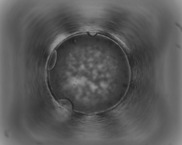 X0000091481471200708231349