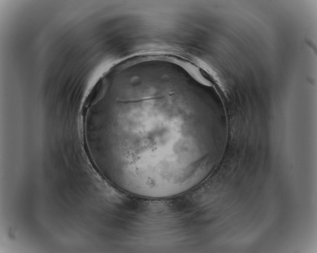 X0000091481472200708231349