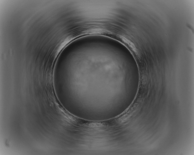 X0000091481473200708231349