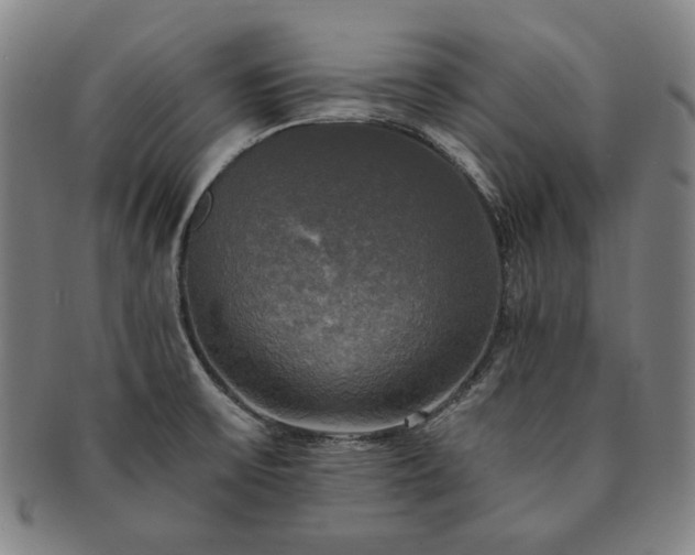 X0000091481475200708231349