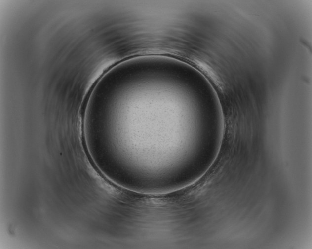 X0000091481476200708231349