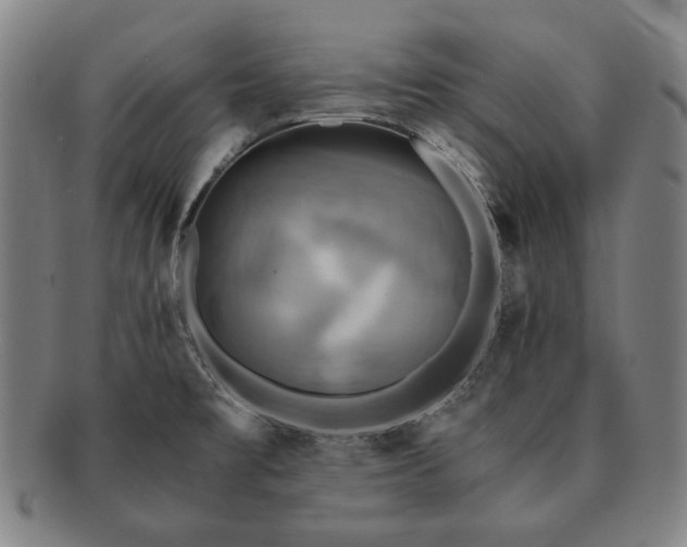 X0000091481477200708231349