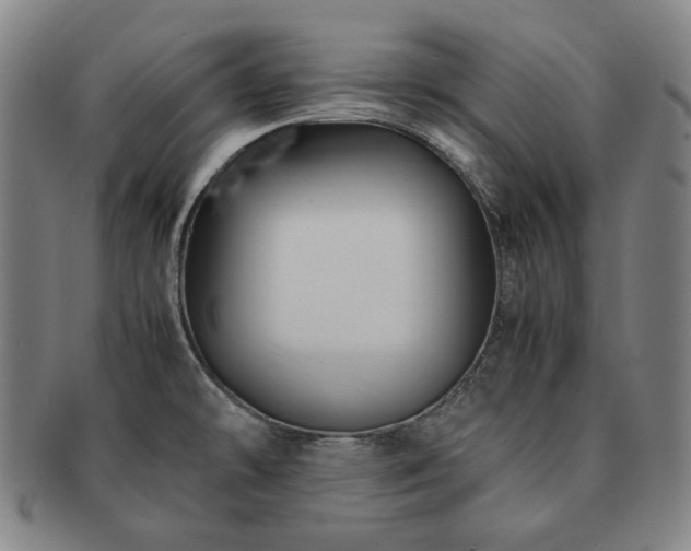 X0000091481478200708231349