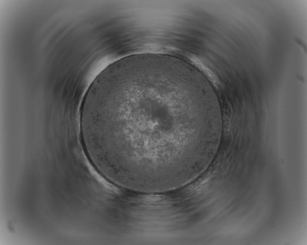 X0000091481479200708231349