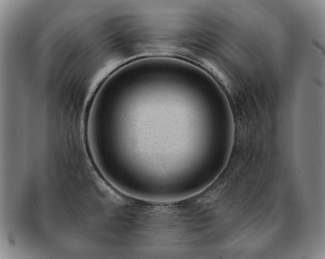 X0000091481480200708231349