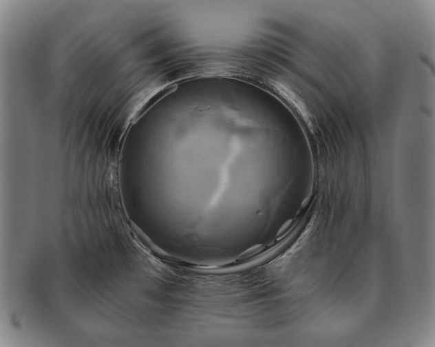 X0000091481481200708231349