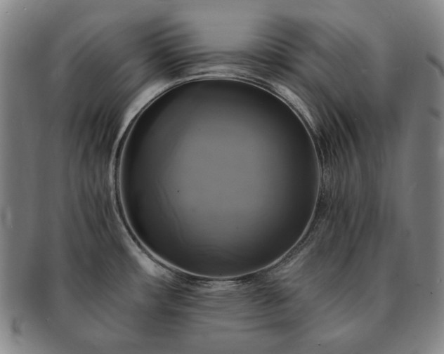 X0000091481482200708231349