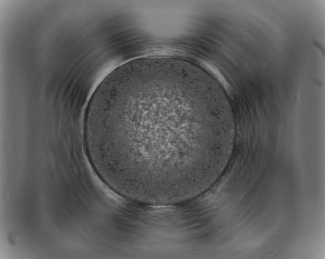 X0000091481483200708231349