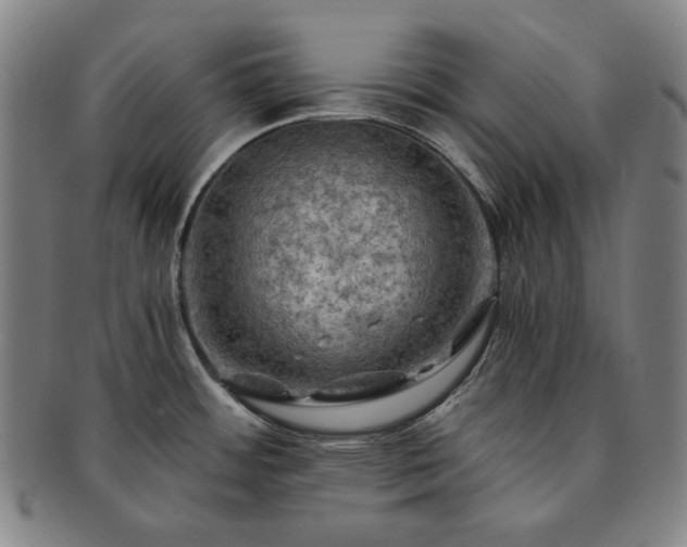 X0000091481484200708231349