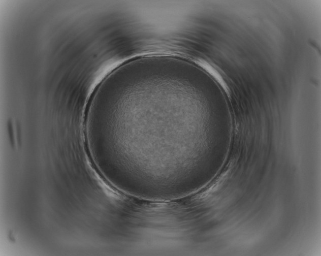 X0000091481485200708231349