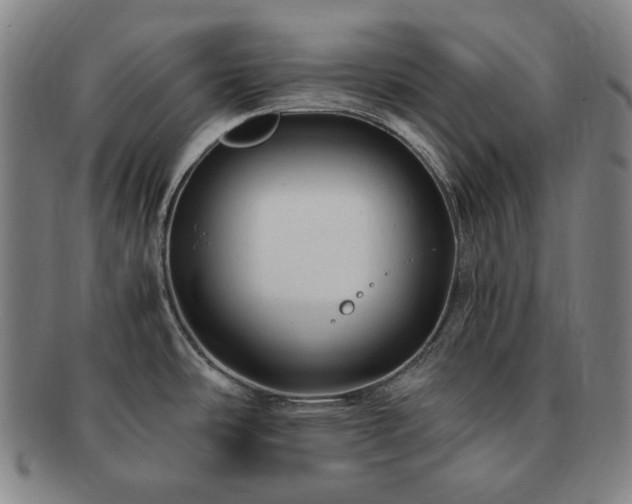 X0000091481486200708231349