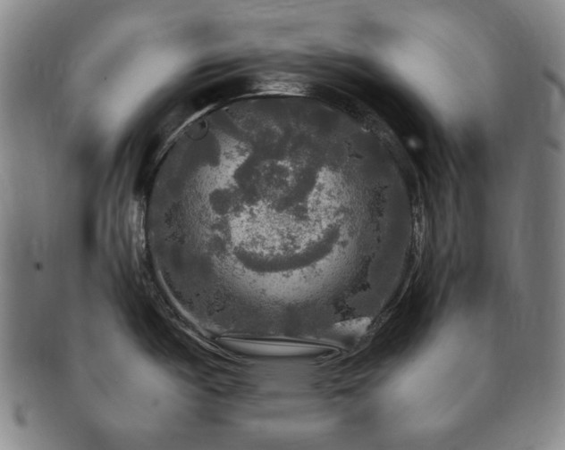 X0000091481487200708231349