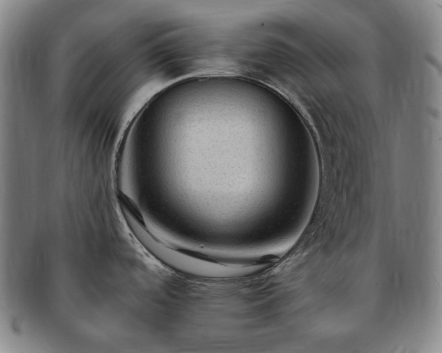 X0000091481488200708231349