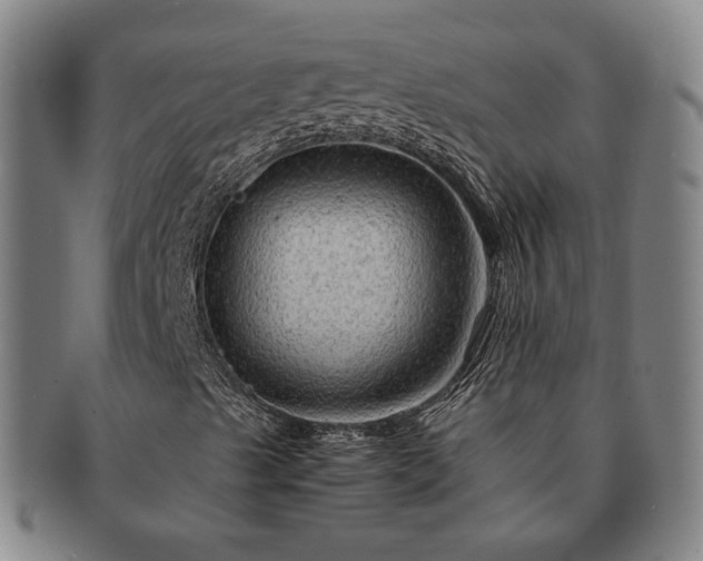 X0000091481489200708231349