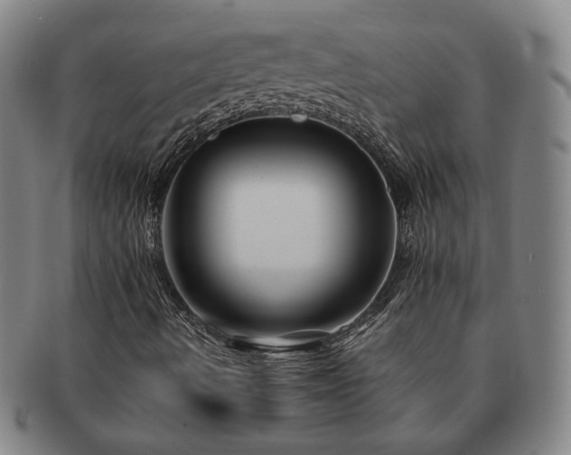 X0000091481490200708231349