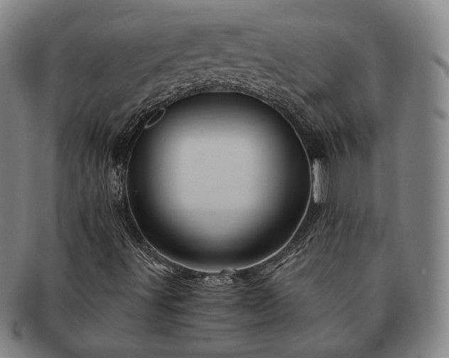 X0000091481491200708231349