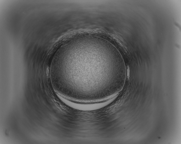 X0000091481492200708231349