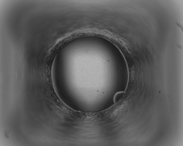 X0000091481494200708231349